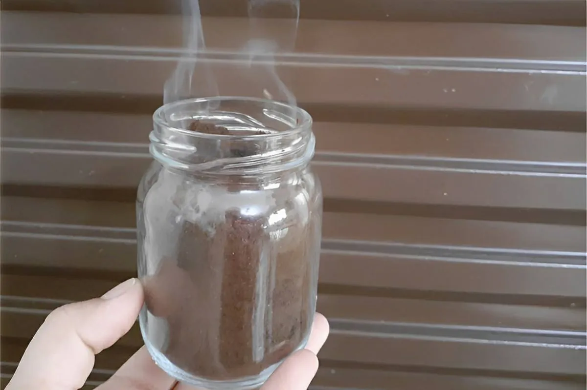 Isso vai acabar com as moscas da sua casa em minutos gastand