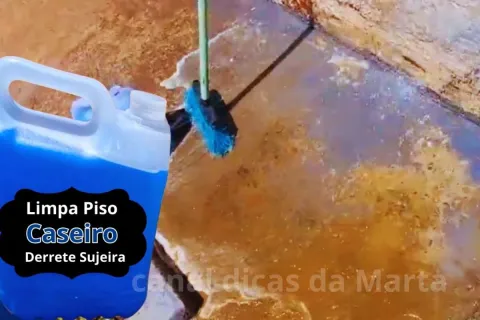 Limpa piso caseiro que tira lodo e limo derretendo toda suje