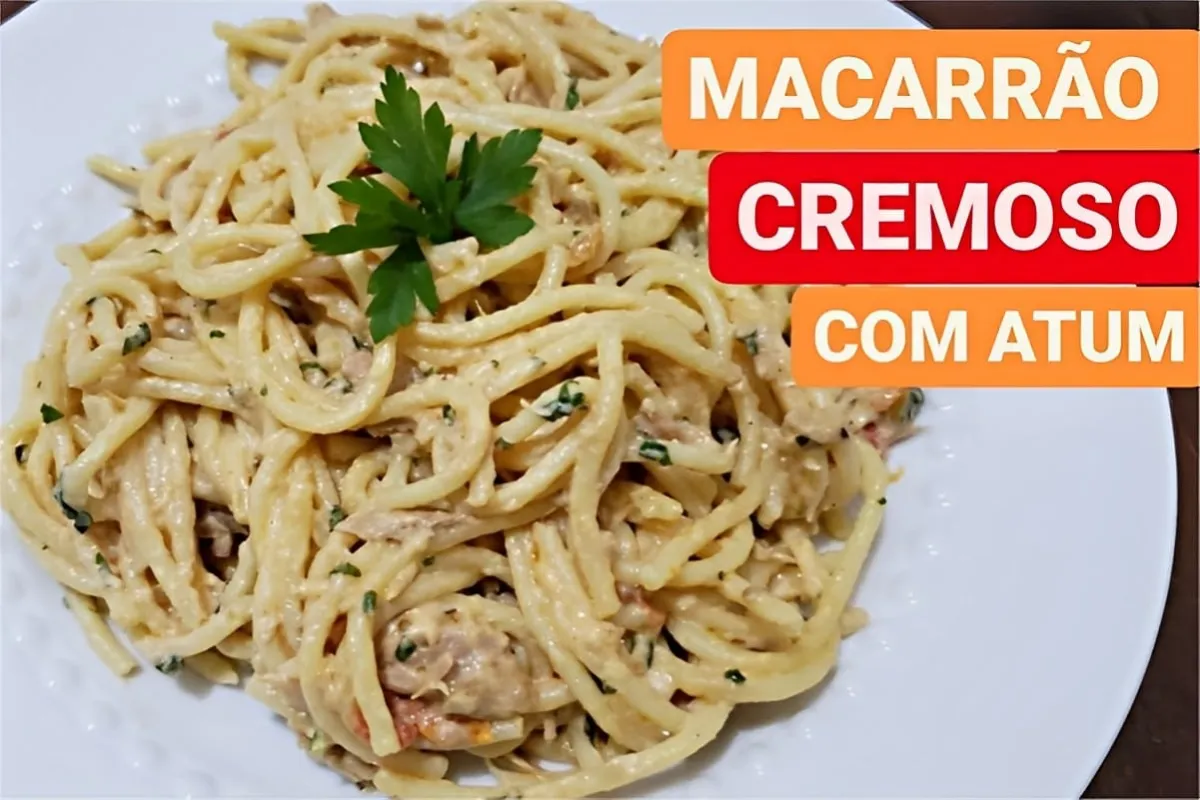 Macarrão cremoso com atum simples fácil de fazer e perfeito