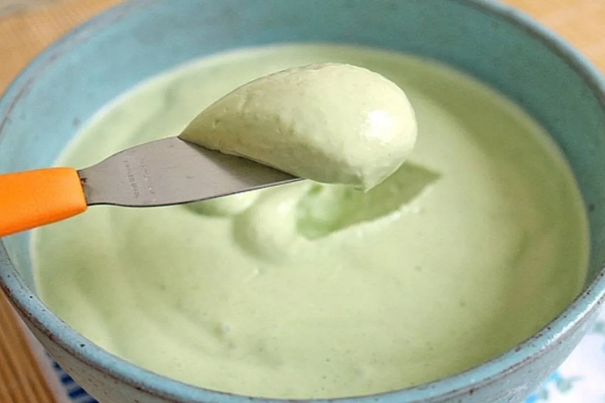 Maionese sem óleo e temperada leve e saborosa igual aquela v