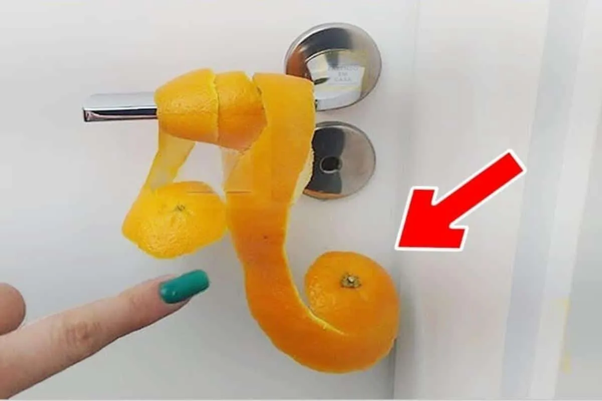 Me surpreendi com o resultado de colocar casca de laranja at