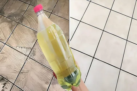 Mistura para limpar piso sujo e afastar ratos e baratas da s