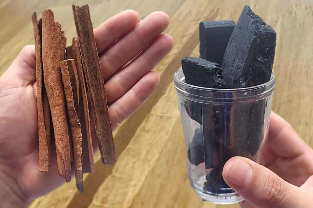 Misturando 2 ingredientes você faz adubo caseiro que faz qua