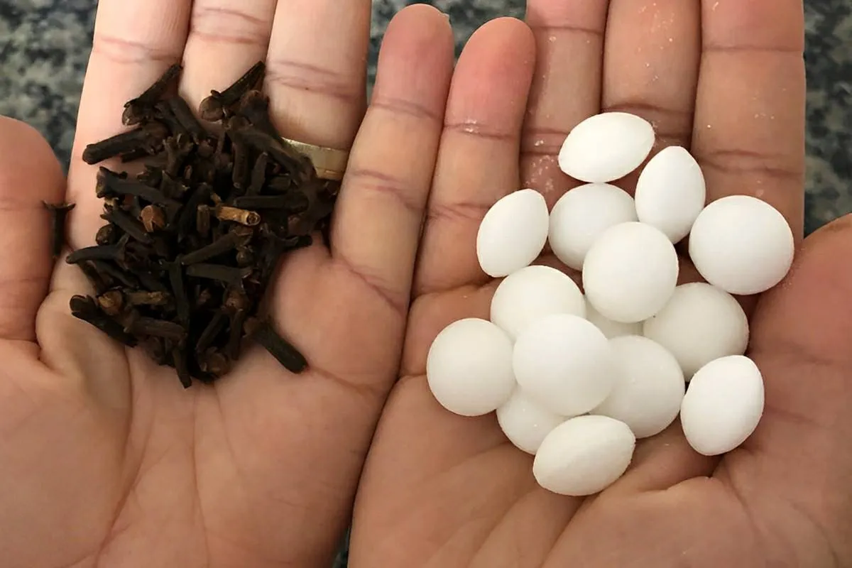 Misture esses 3 produtos para acabar com as baratas da sua c