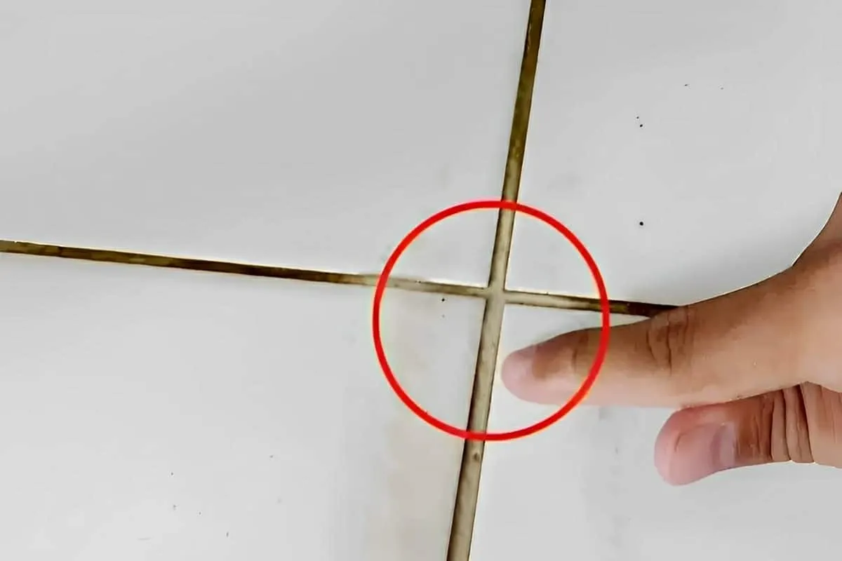 Misturei detergente e mais 2 ingredientes e fiz a poderosa m