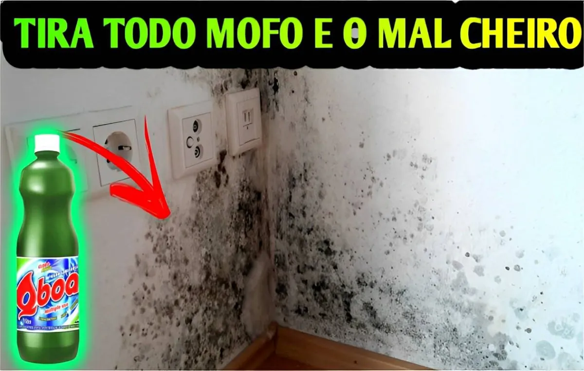 Misturinha caseira para eliminar mofo das paredes sem fazer