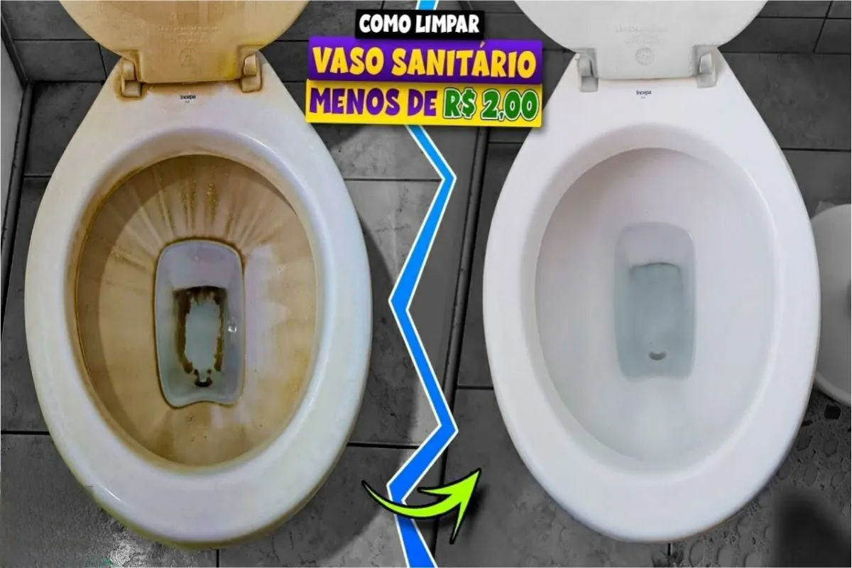 Misturinha mágica para limpar vaso mesmo mesmo estando muito