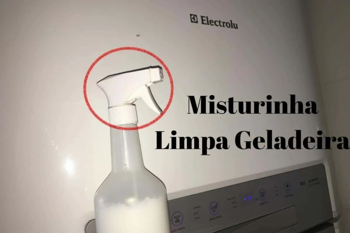 Misturinha para limpar geladeira por dentro e por fora que t