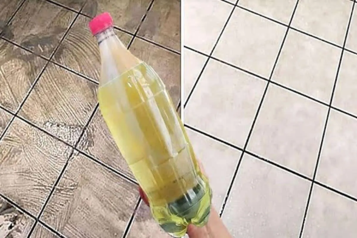 Misturinha para limpar piso sujo e encardido: melhor que mui