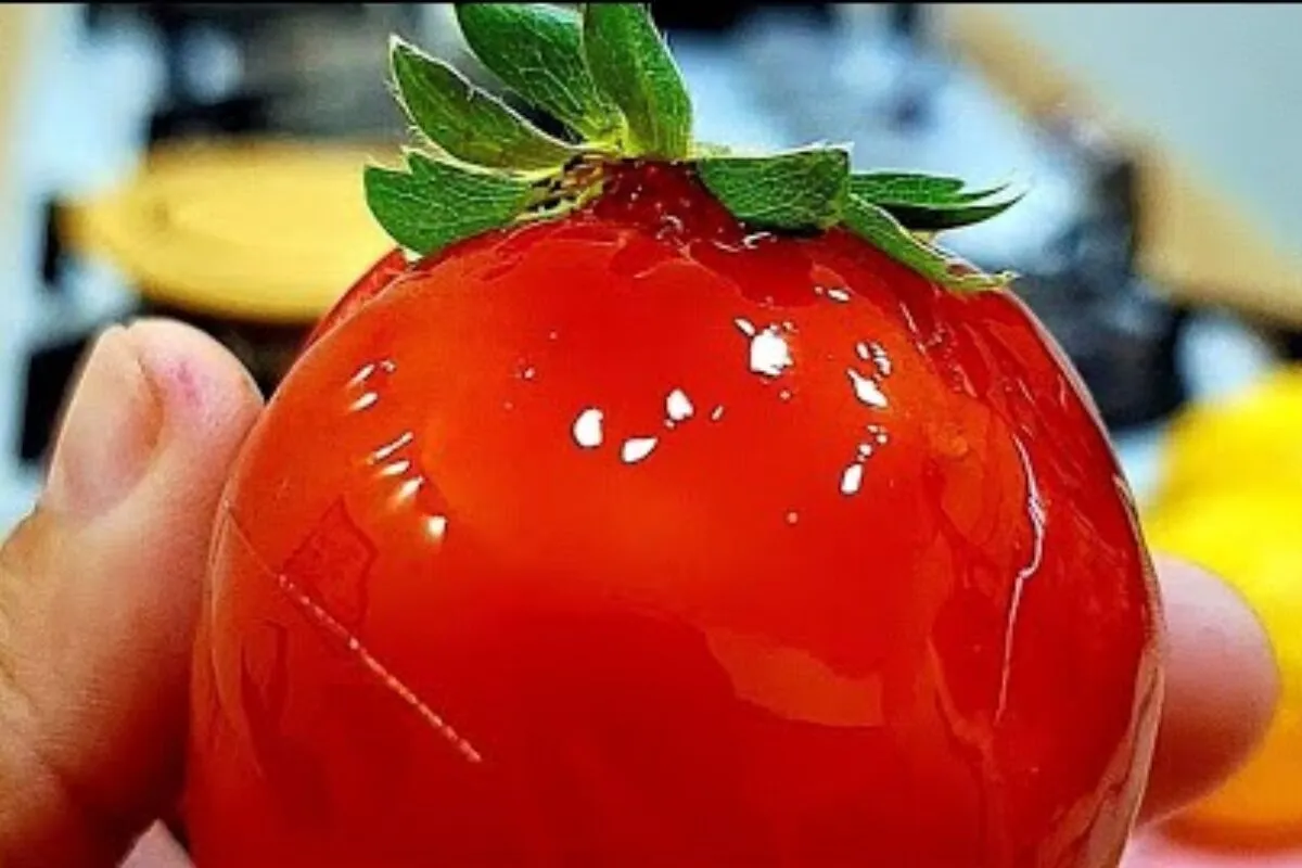 Morango do amor com calda brilhante e crocante que todo mund