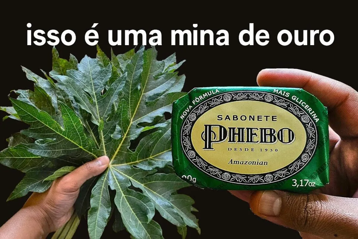 Multiuso caseiro com mamão e sabonete, limpa bem e é super e