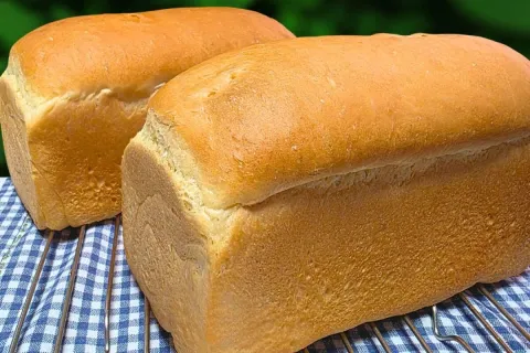 Pão caseiro: a receita mais fácil e famosa que você já viu p