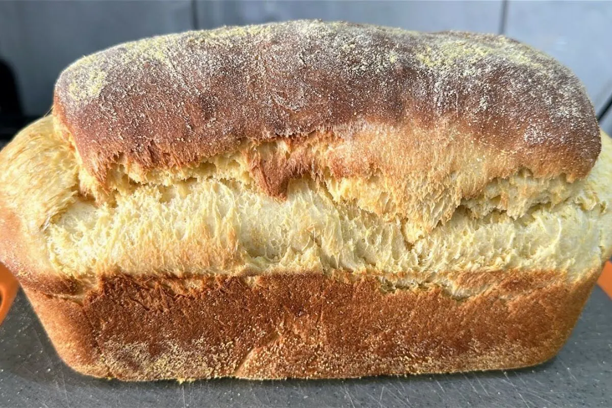 Pão caseiro colonial macio e fofinho com receita fácil e sab