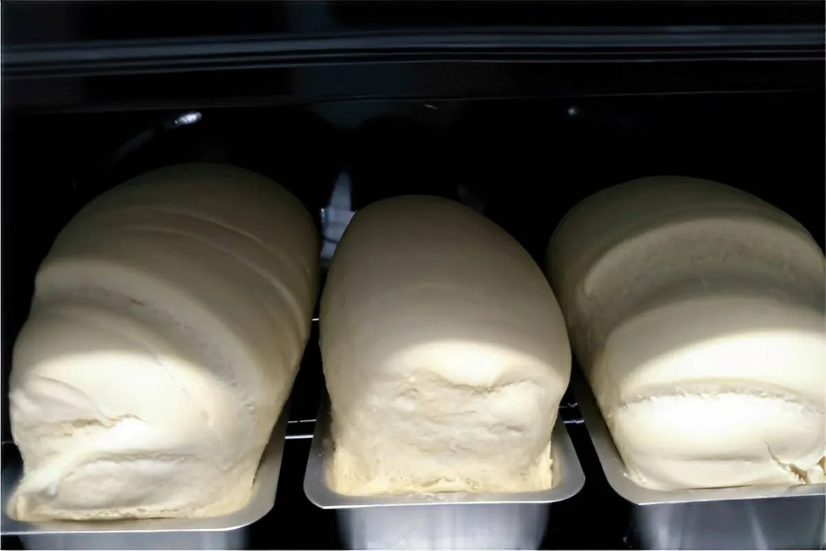 Pão caseiro com massa leve e fofinha que desmancha na boca p