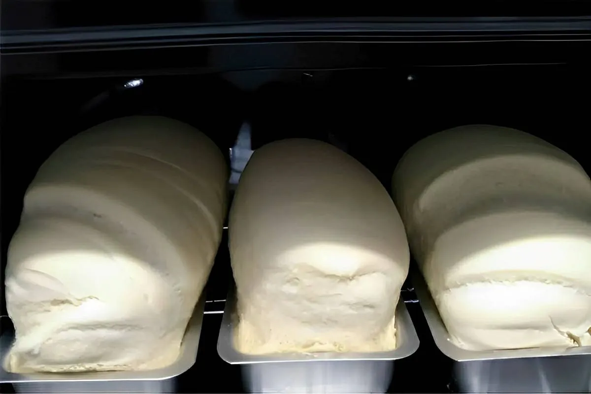 Pão caseiro com massa leve e fofinha que desmancha na boca p