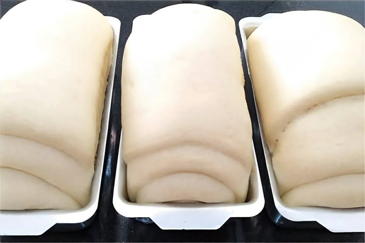 Pão caseiro de leite um pão tão perfeito que cresce até no i