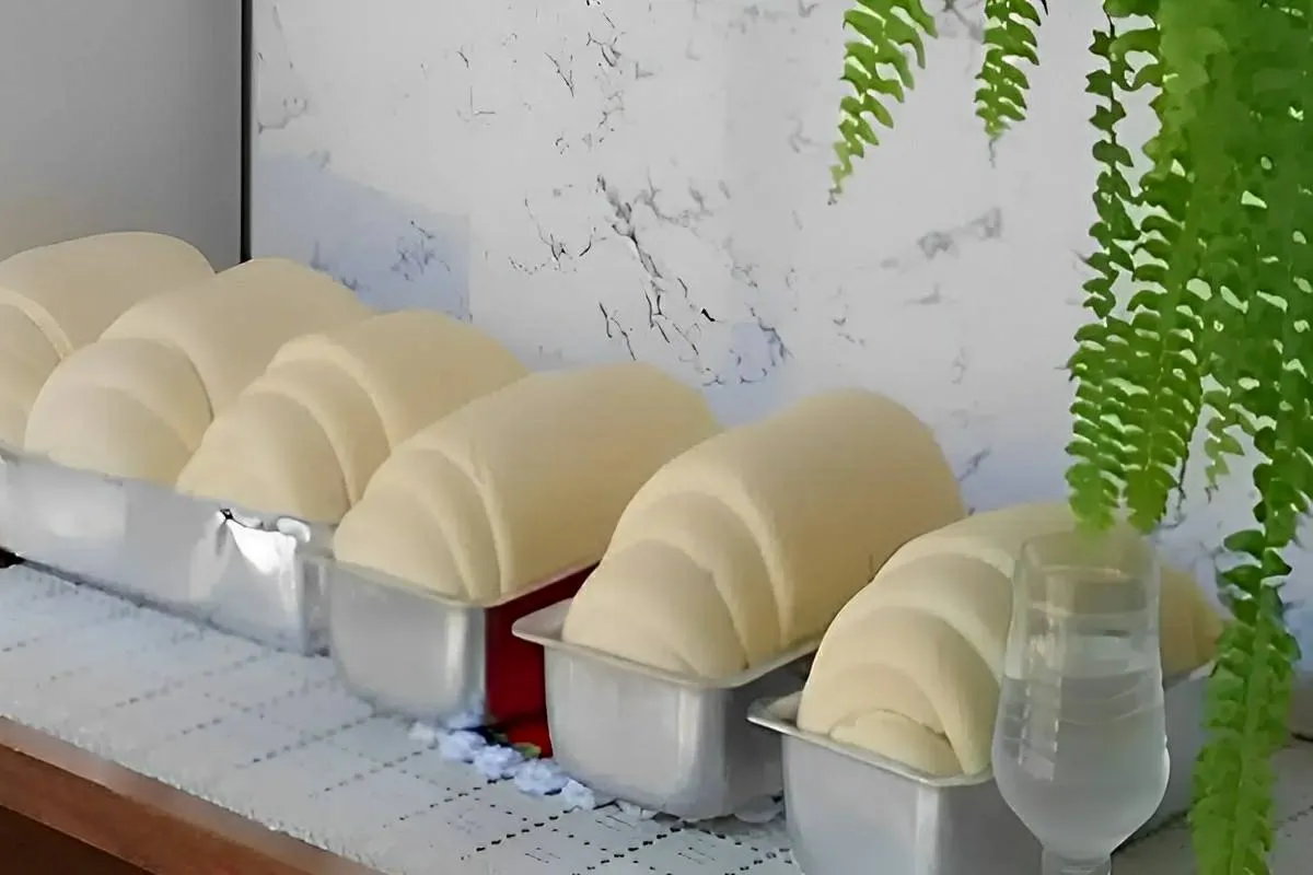 Pão caseiro fofinho a massa cresce bastante e rende vários p