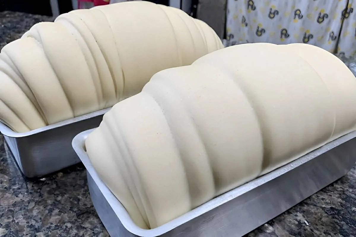 Pão caseiro macio e fofinho sem leite e sem ovos perfeito pa