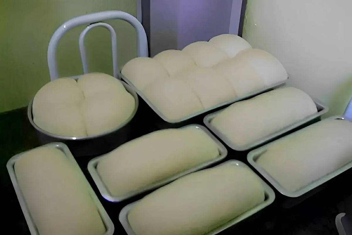 Pão caseiro muito fácil e que rende muito receita que minha