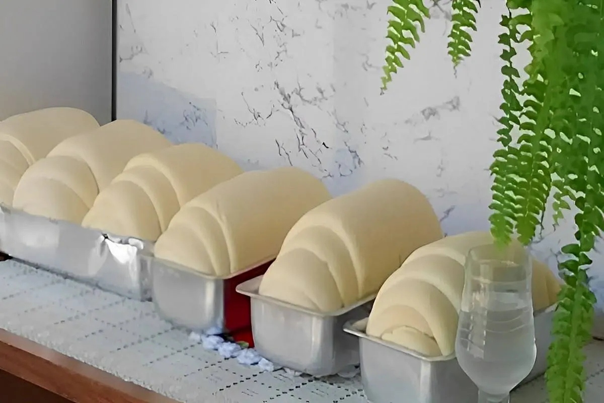 Pão caseiro que cresce bastante e fica muito macio e fofinho