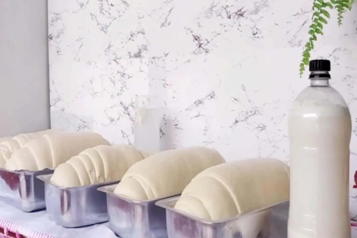 Pão caseiro que cresce bastante e fica super fofinho