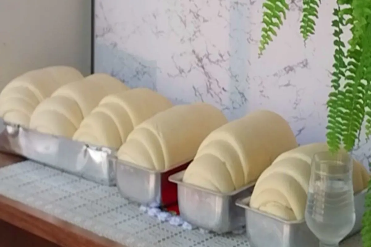 Pão caseiro que cresce bastante e fica uma delícia para seu