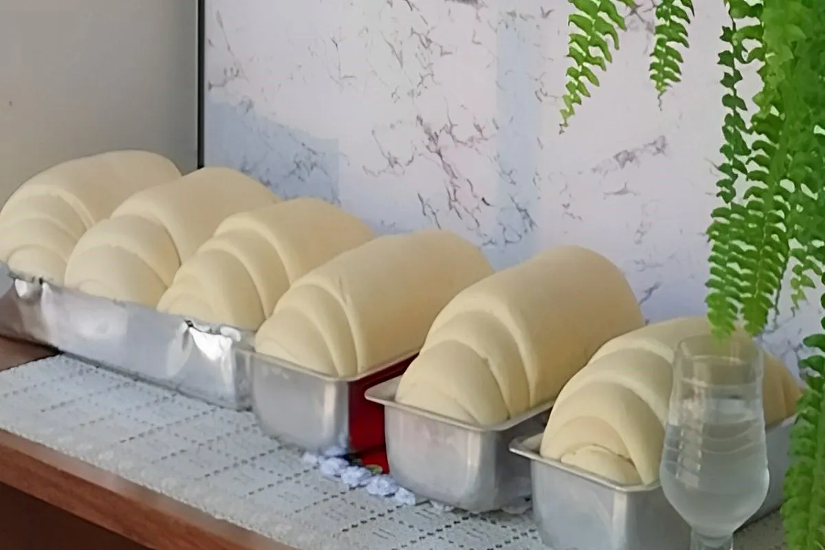 Pão caseiro que cresce muito feito sem ovos nem leite super