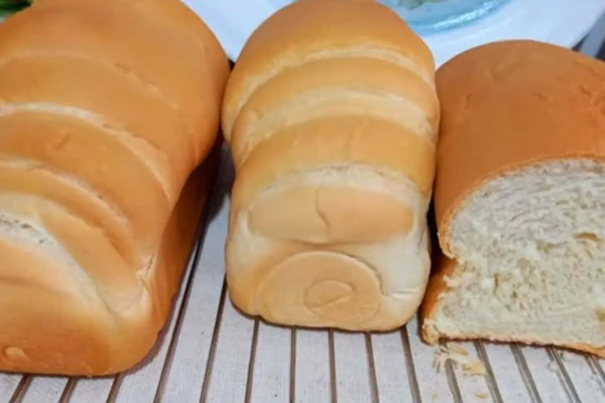 Pão caseiro que não precisa de ovos nem de leite e fica uma