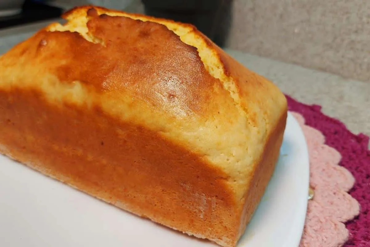 Pão caseiro rápido e fácil que não precisa esperar a massa c