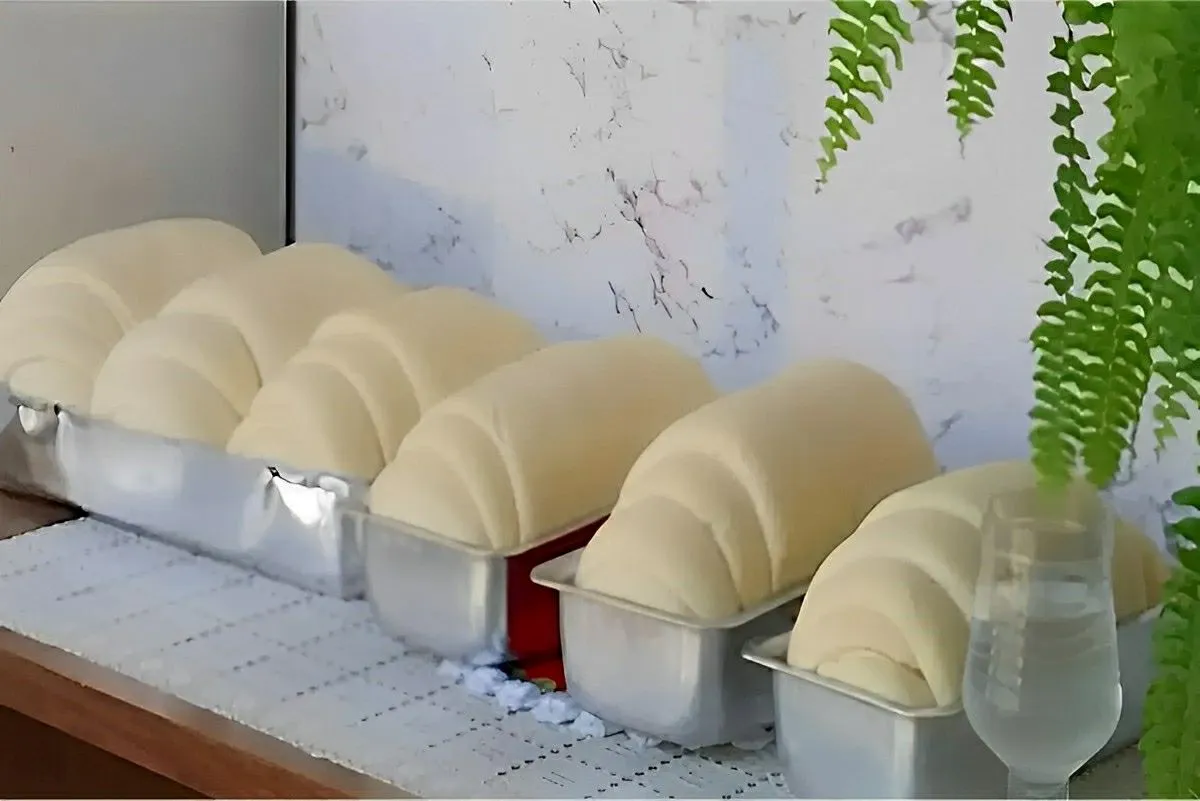 Pão caseiro sem ovos nem leite muito fofinho e perfeito para
