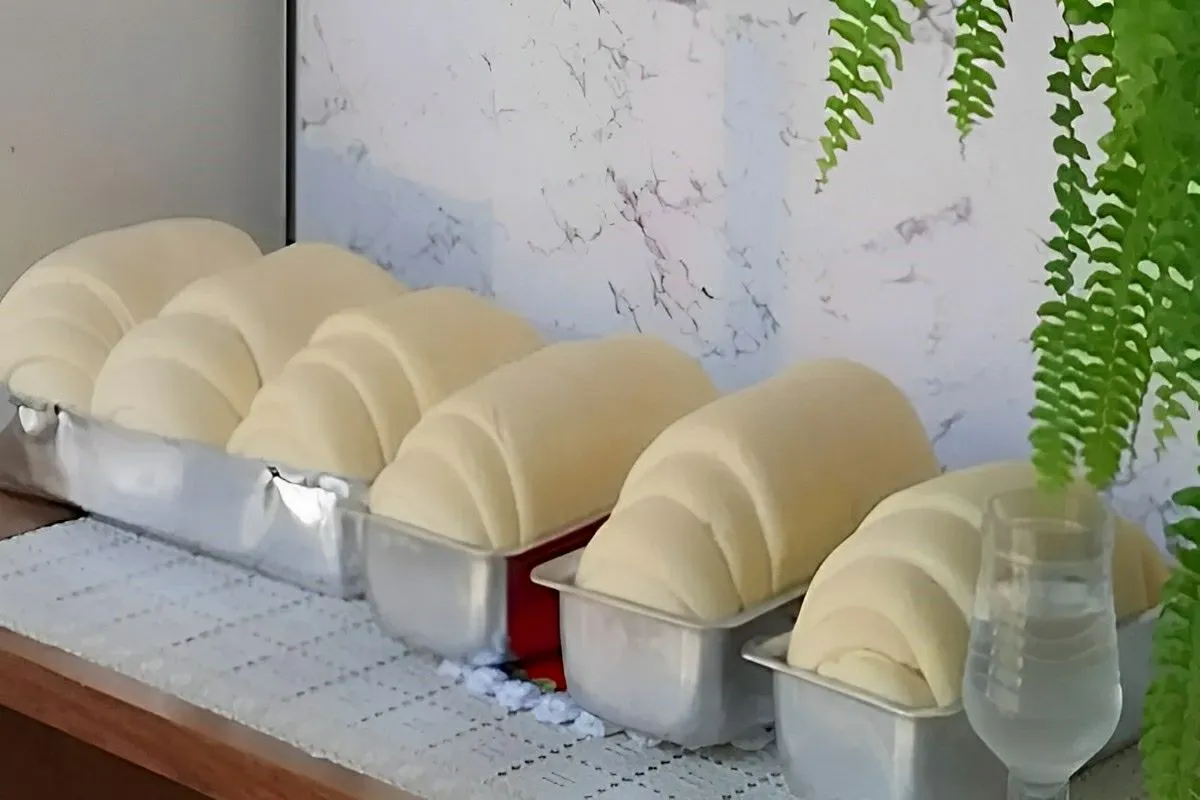 Pão caseiro sem ovos nem leite que cresce muito e fica super