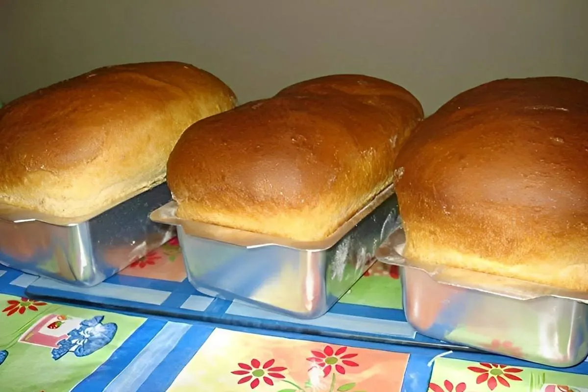 Pão caseiro simples e fácil a massa cresce bastante e rende