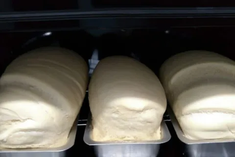 Pão caseiro simples e fofinho feito com poucos ingredientes 