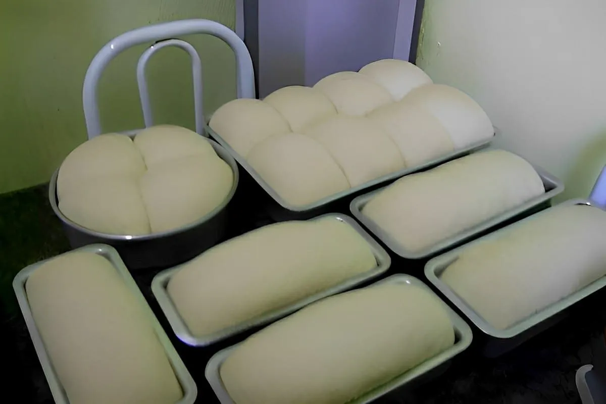 Pão caseiro simples e prático até quem nunca fez pão vai ace