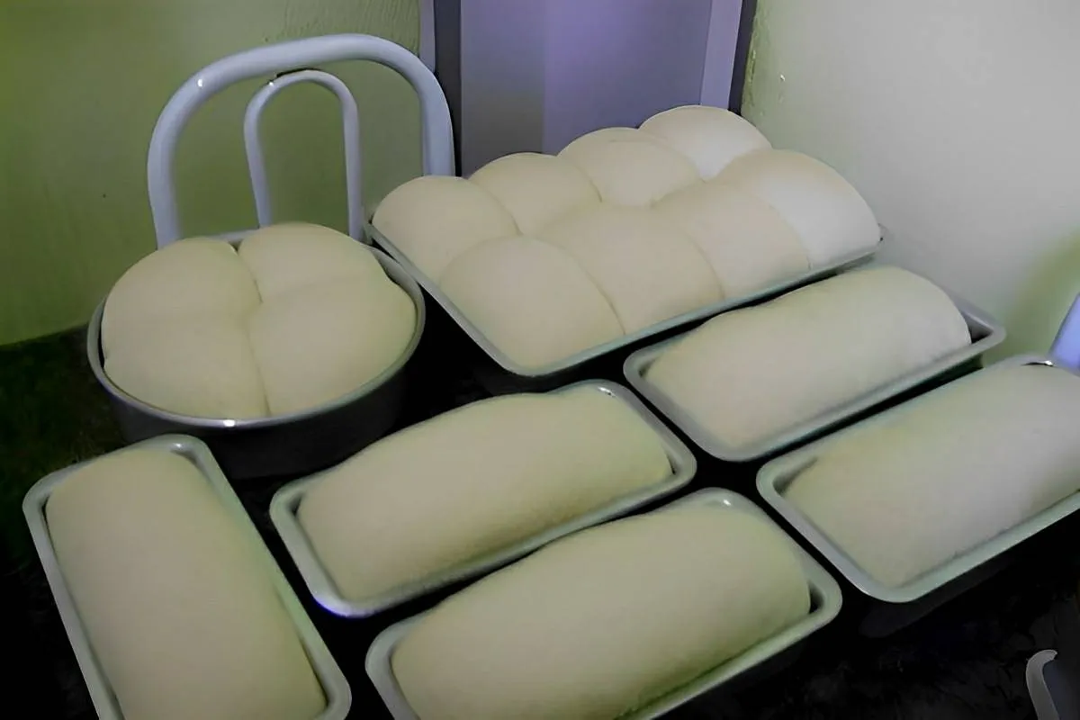 Pão caseiro simples e prático ele rende muito fica uma delíc