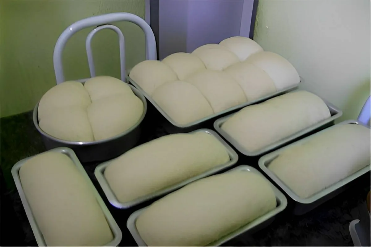 Pão caseiro simples e prático feito com ajuda do liquidifica