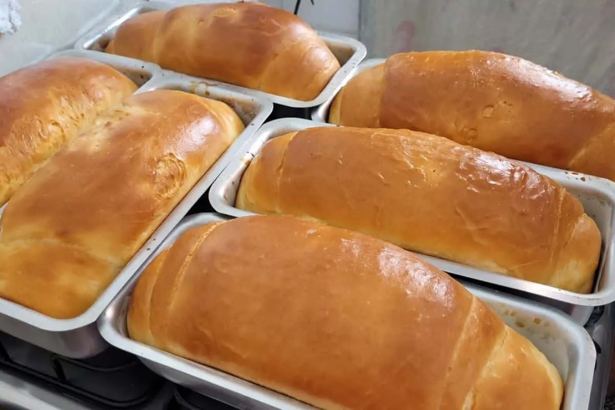 Pão caseiro: um pão gigante e muito macio que cresce bastant