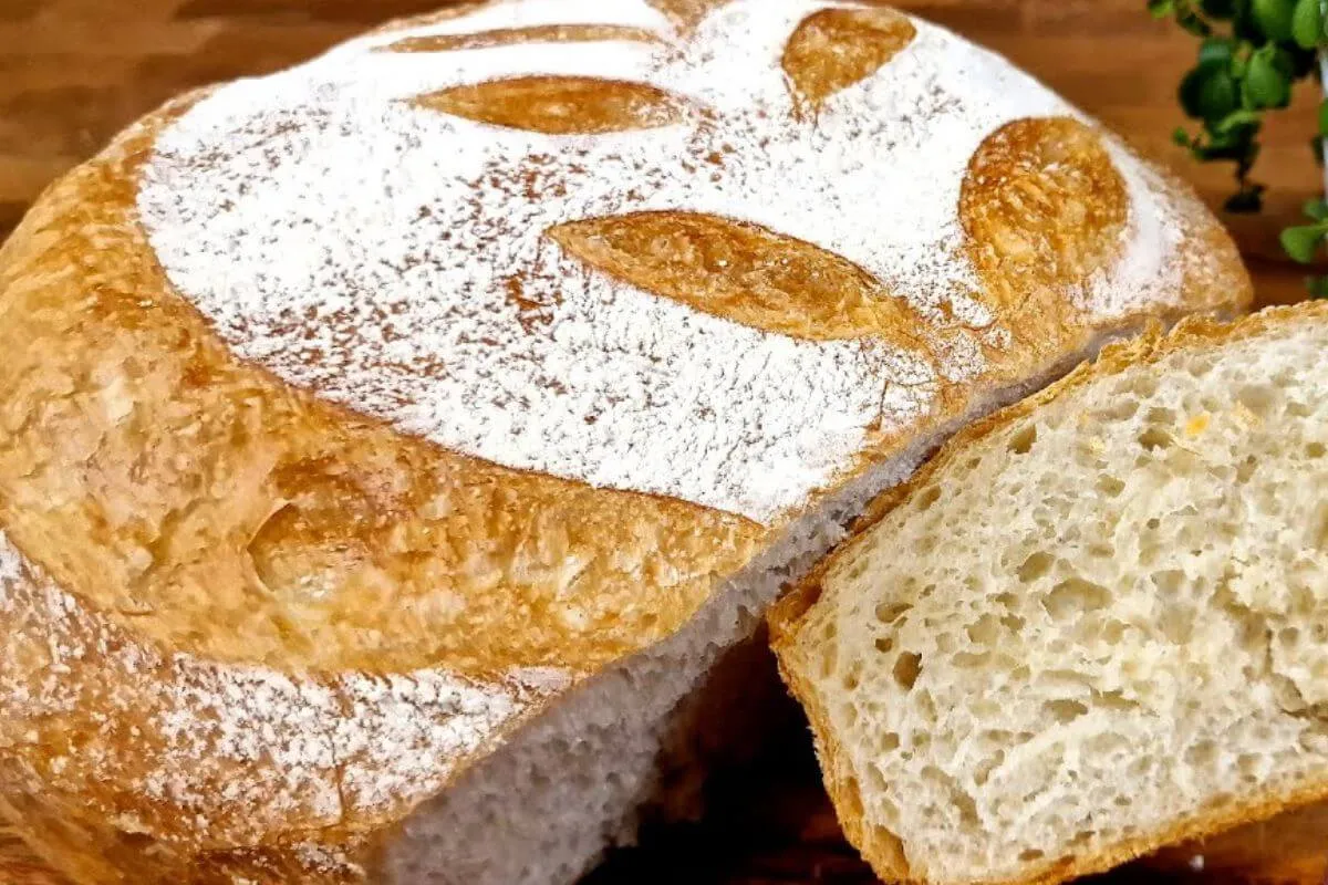 Pão de 10 dobras: pão caseiro de 4 ingredientes bem leve e d