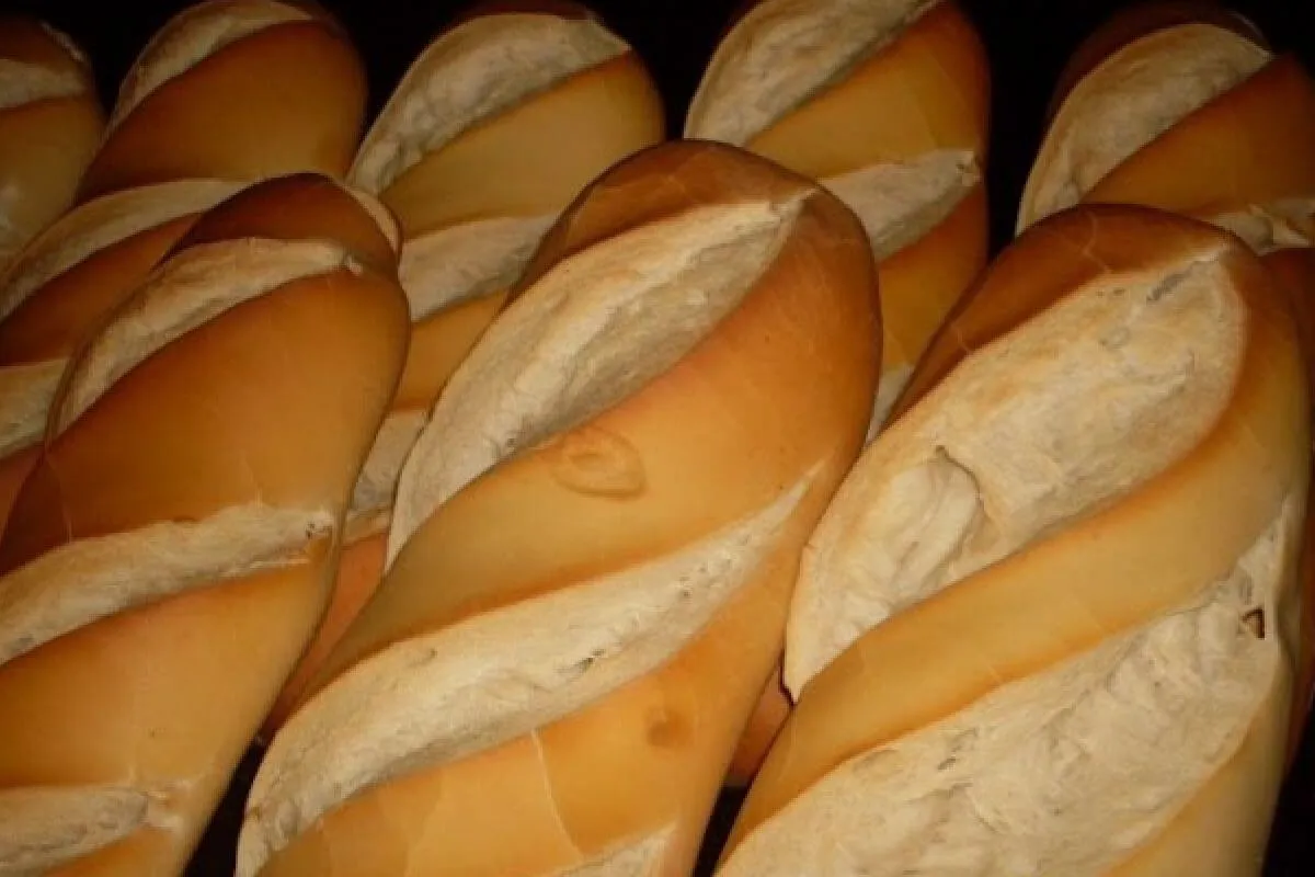 Pão francês caseiro que fica igualzinho da padaria e você nã