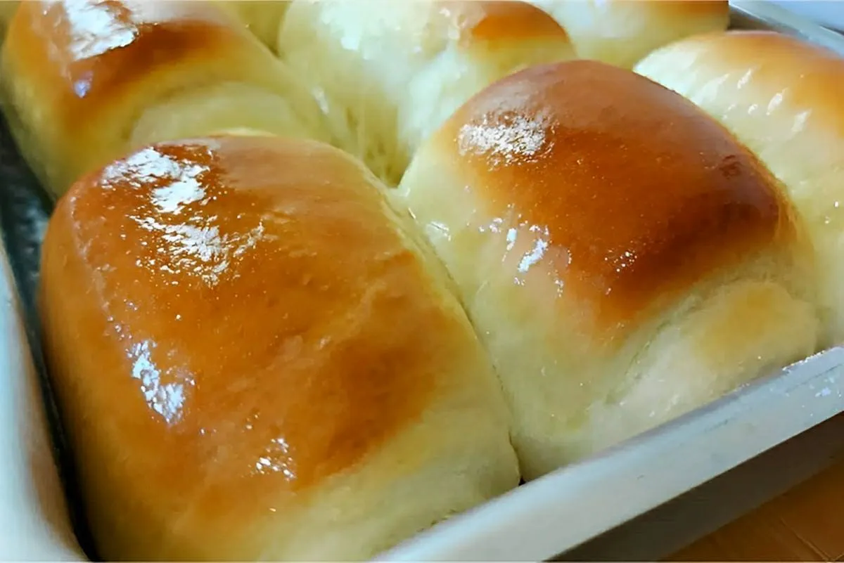Pãozinho de algodão um pãozinho caseiro que não precisa sova