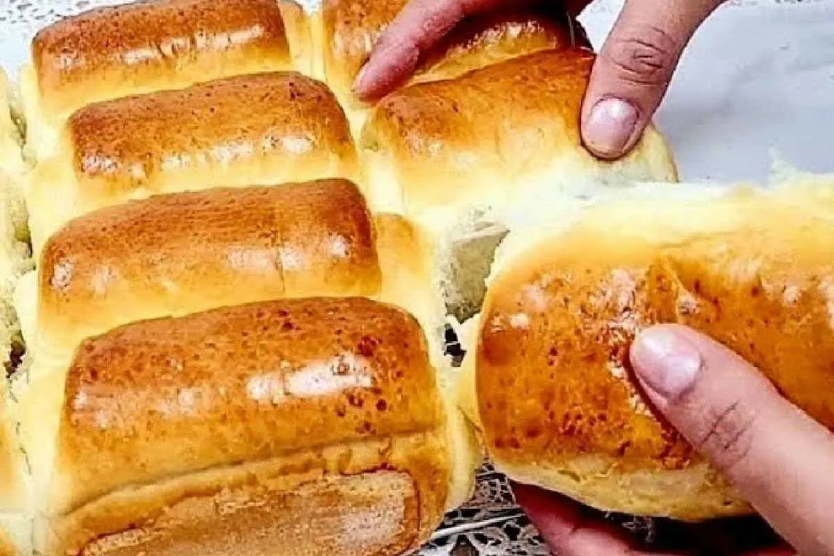 Pãozinho de leite macio e fofinho igual de padaria para seu