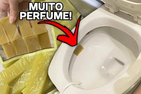 Pastilha sanitária caseira perfumada para deixar seu banheir