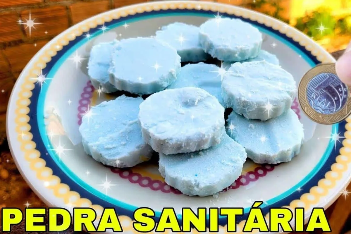 Pedra sanitária caseira: assim fica muito mais fácil economi