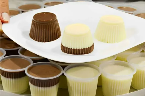 Pudim de Leite Ninho com chocolate no copinho uma sobremesa 