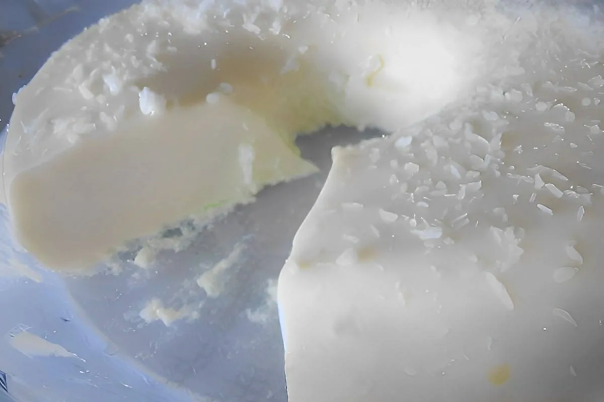 Pudim de maria mole com coco simples e prático sem ovos e nã