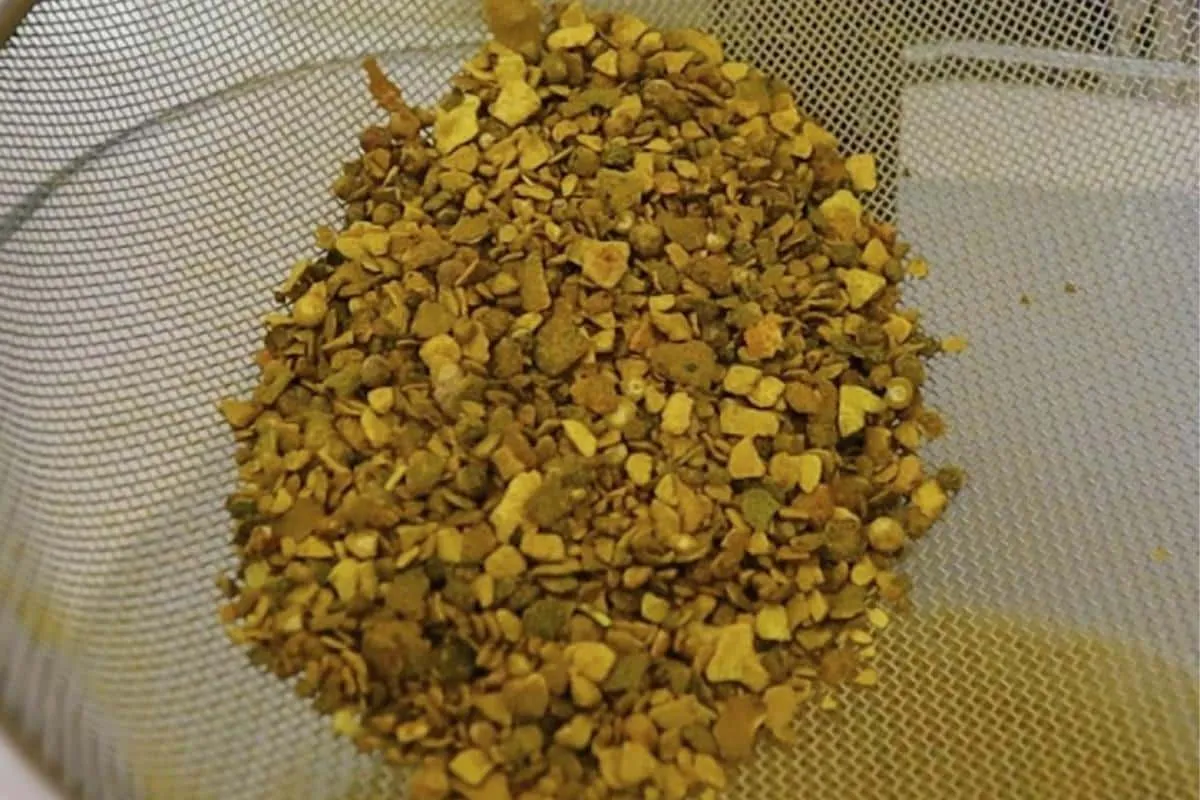 Receita caseira de tempero na airfryer para deixar seu almoç