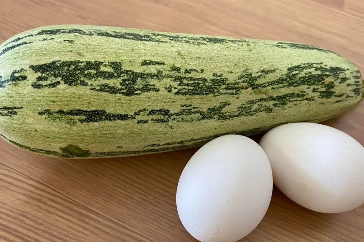 Receita de abobrinha fácil de fazer mas é a preferida da min