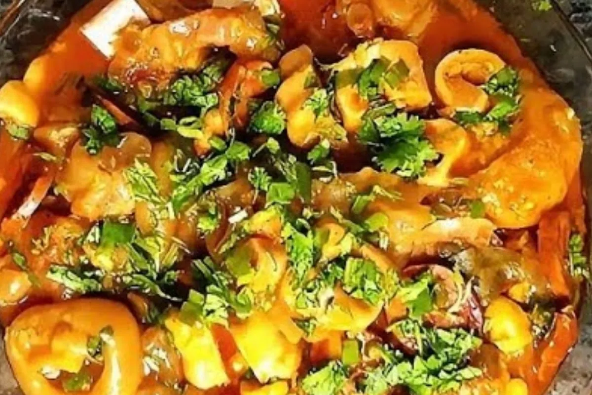 Receita de mocotó na panela de pressão perfeito para seu alm