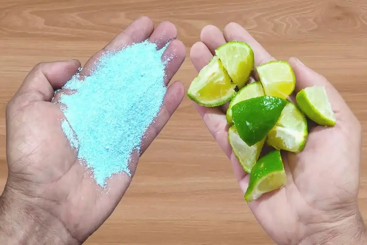 Receita de multiuso caseiro: deixa sua casa limpa e cheirosa