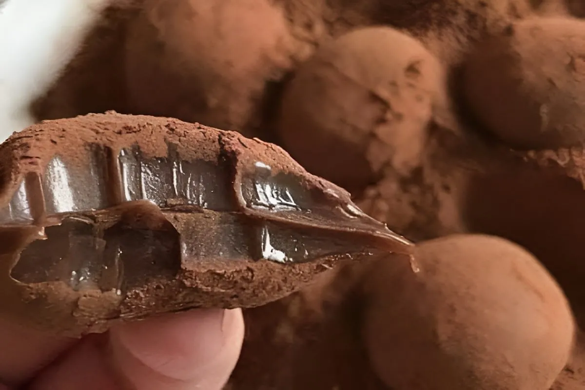 Receita de trufa tradicional ou trufa belga com ingredientes